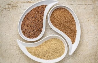 Teff tohumlu çay nedir